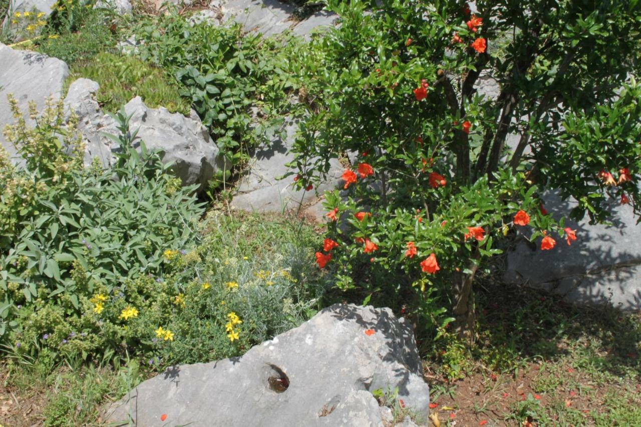Apartmani "Mali Mago" Tribalj المظهر الخارجي الصورة